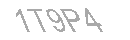 Güvenlik Kodu