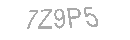 Güvenlik Kodu