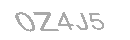Güvenlik Kodu